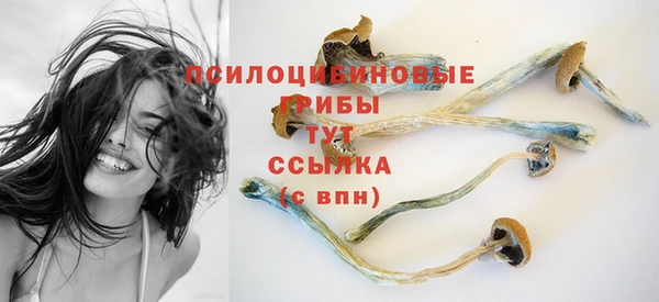 apvp Покачи