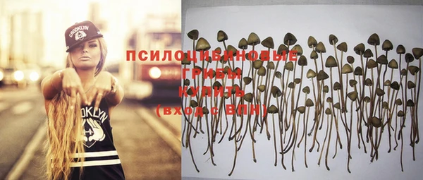 ГАЛЛЮЦИНОГЕННЫЕ ГРИБЫ Абдулино
